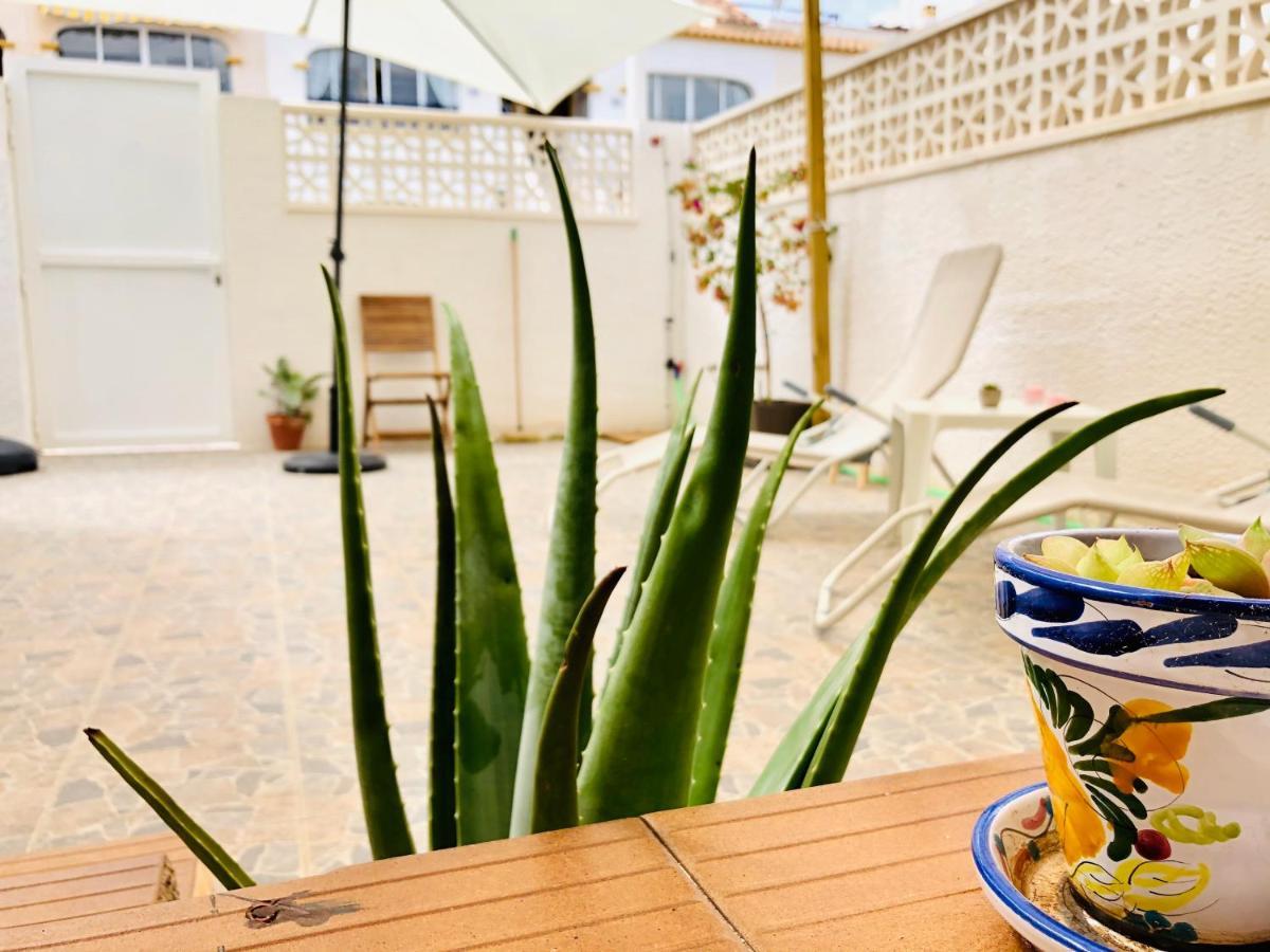 Mediterranean House 格兰阿利坎特 外观 照片